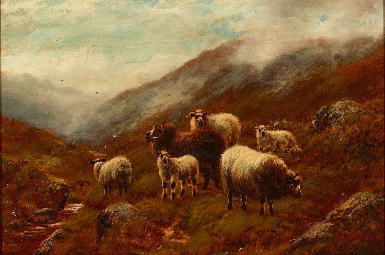 Yamaçta Yayla Koyunları (tuval üzerine yağlı boya) by William Watson