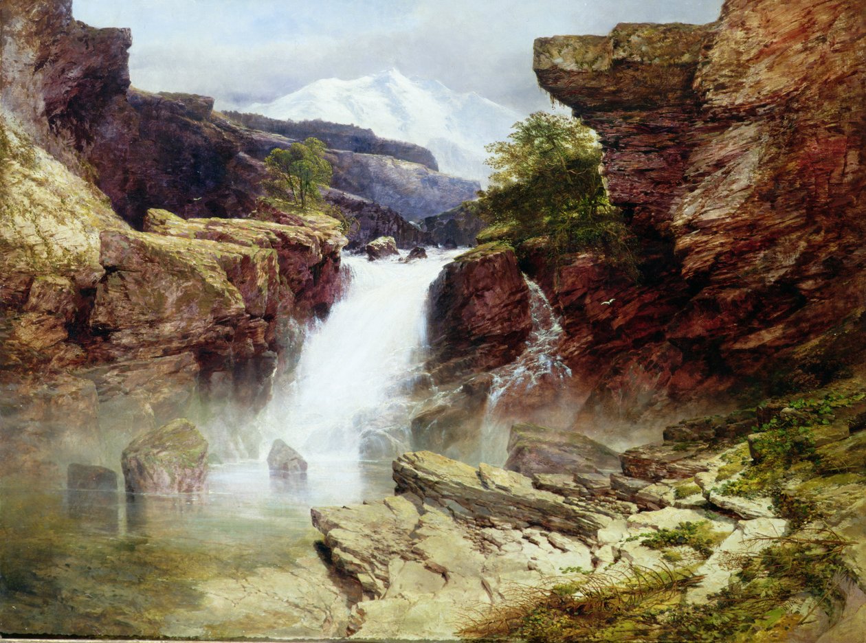Bilinmeyen resim by William West