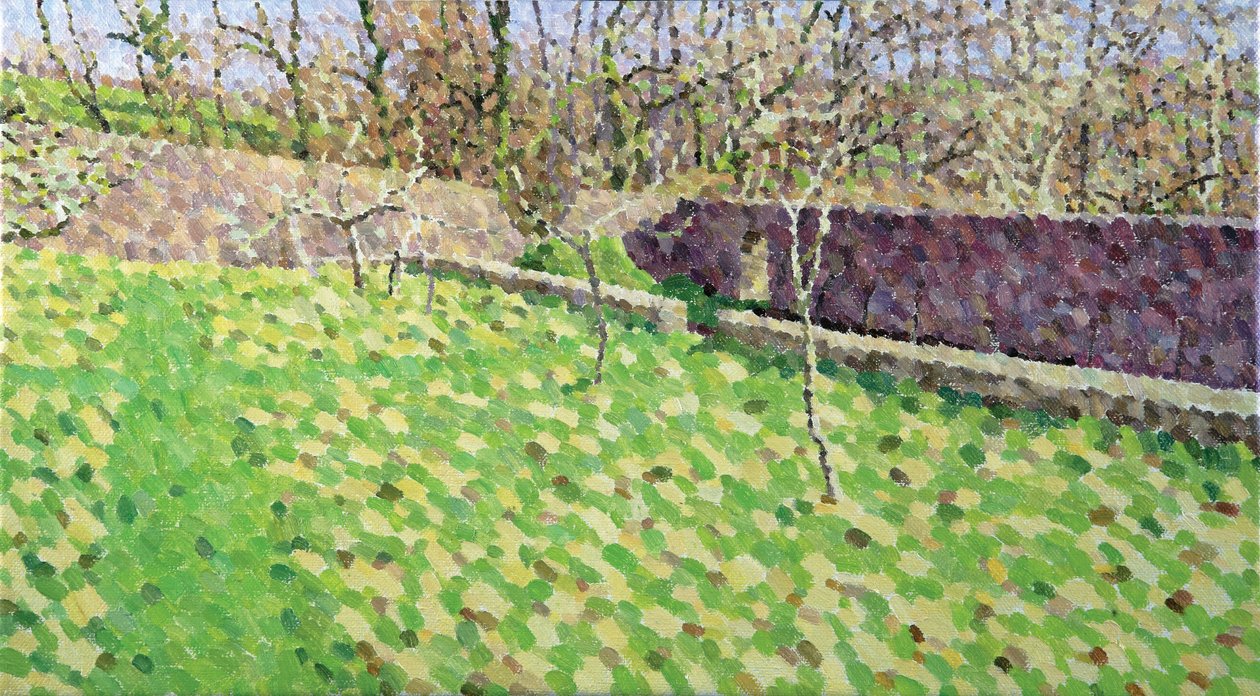 Kış Güneşinde Orchard, 2011 (Tuval Üzerine Yağlıboya) by William Wilkins