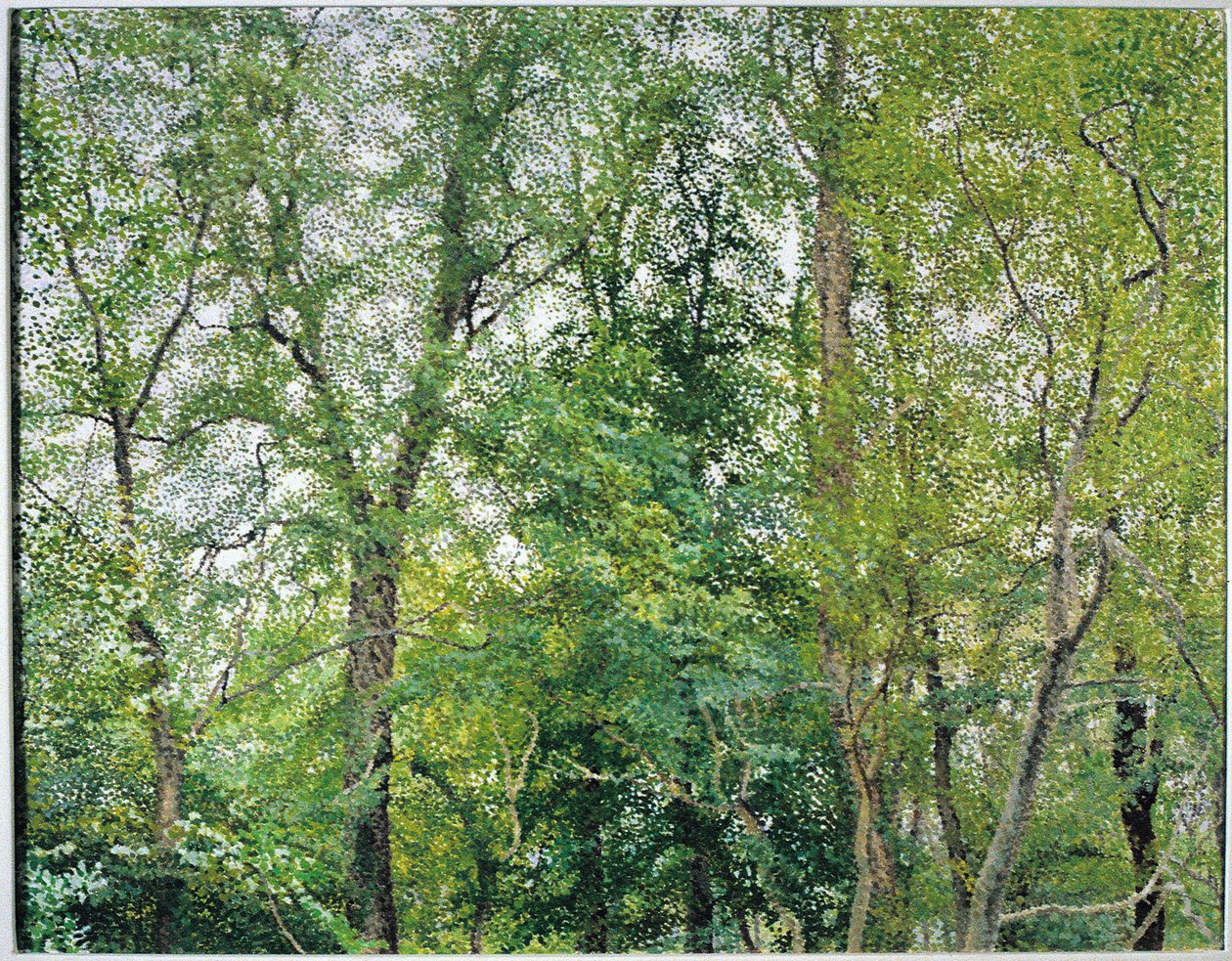 Jübile Plantasyonu by William Wilkins