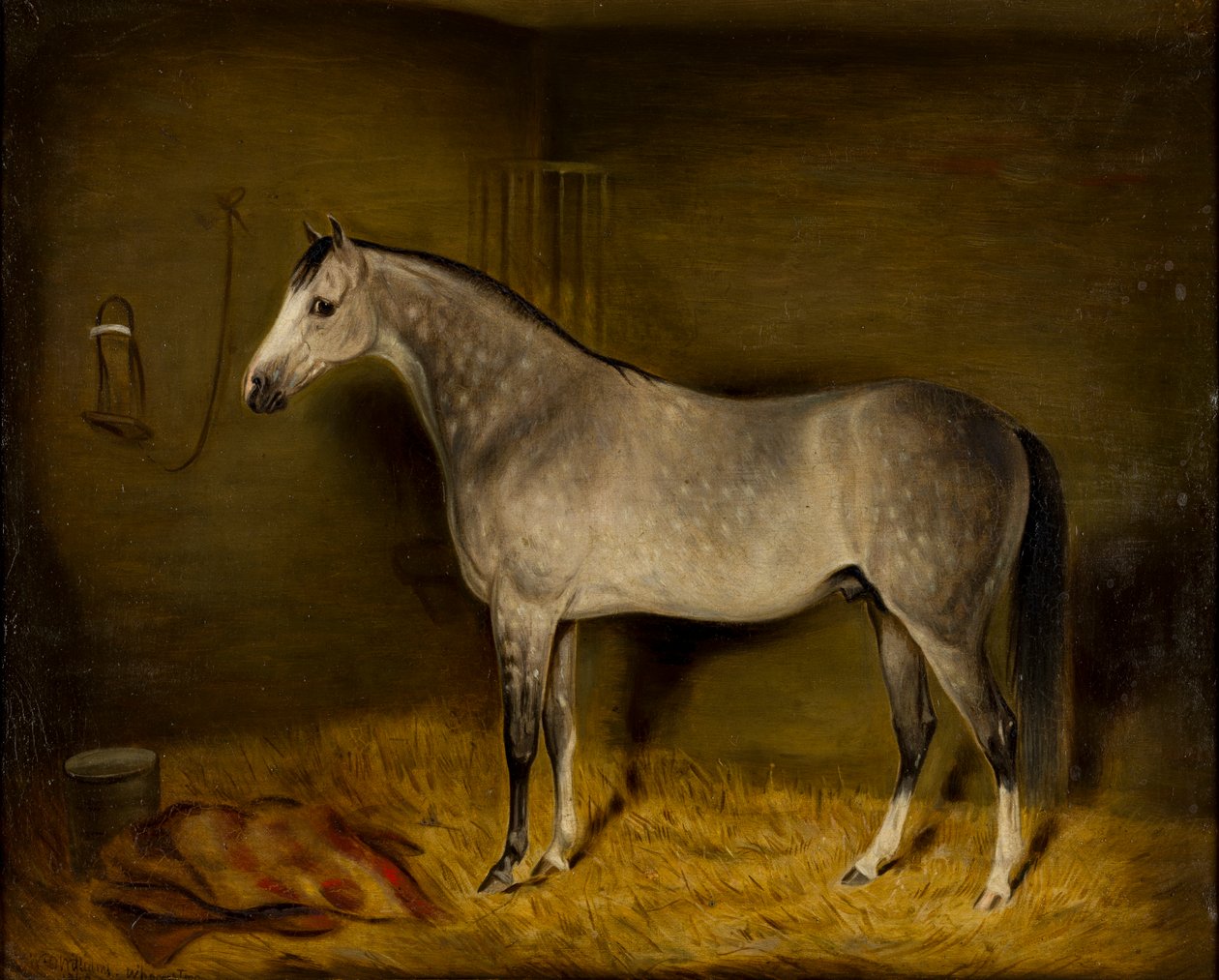 Gevşek bir kutuda Arap Atı, 1860 dolayları (tuval üzerine yağlı boya) by William Williams