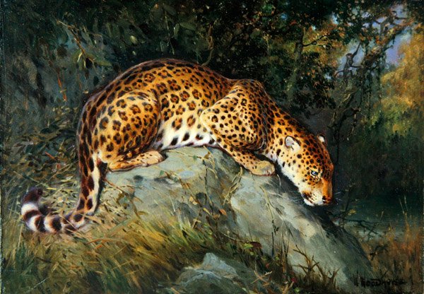 Kayanın Üzerinde Çömelmiş Bir Leopar (gemiye serilmiş tuval üzerine yağlı boya) by William Woodhouse