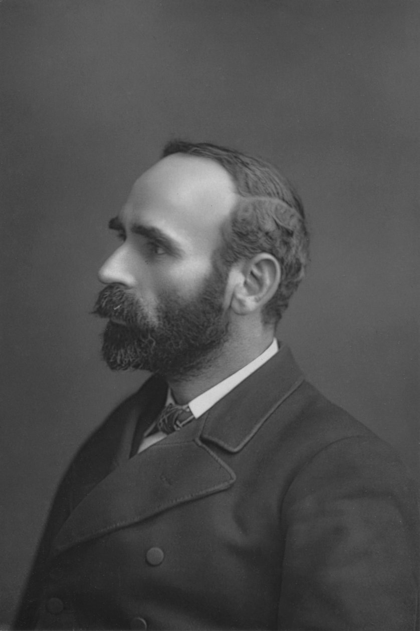 Bay Michael Davitt, c1891 by William and Daniel Downey