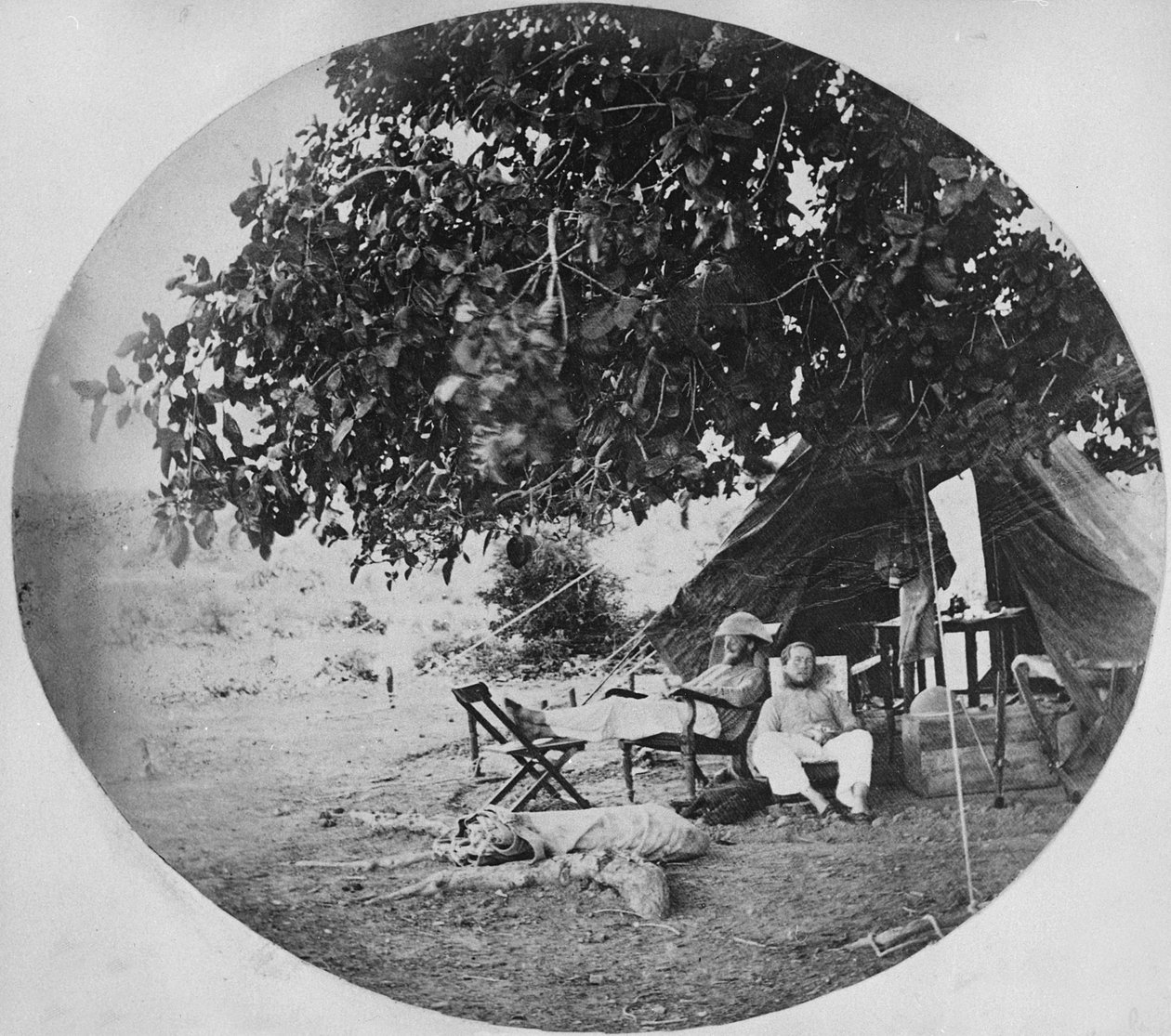 Hint Ormanında sıcak bir gün, 1860 dolayları by Willoughby Wallace Hooper