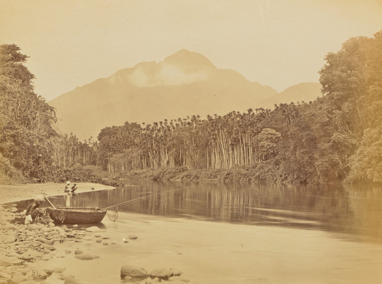  by Willoughby Wallace Hooper