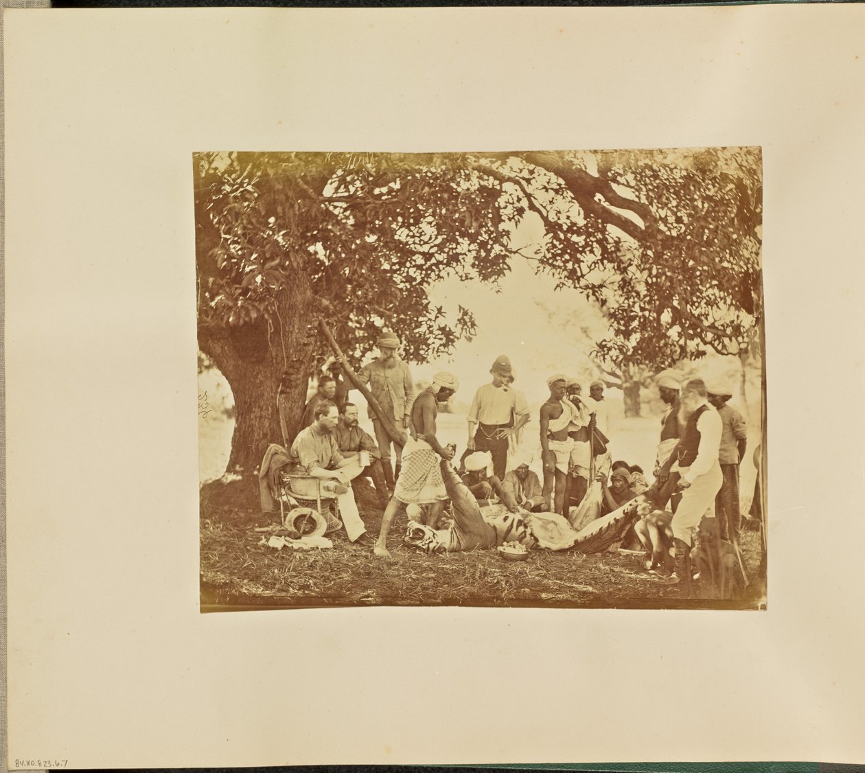  by Willoughby Wallace Hooper
