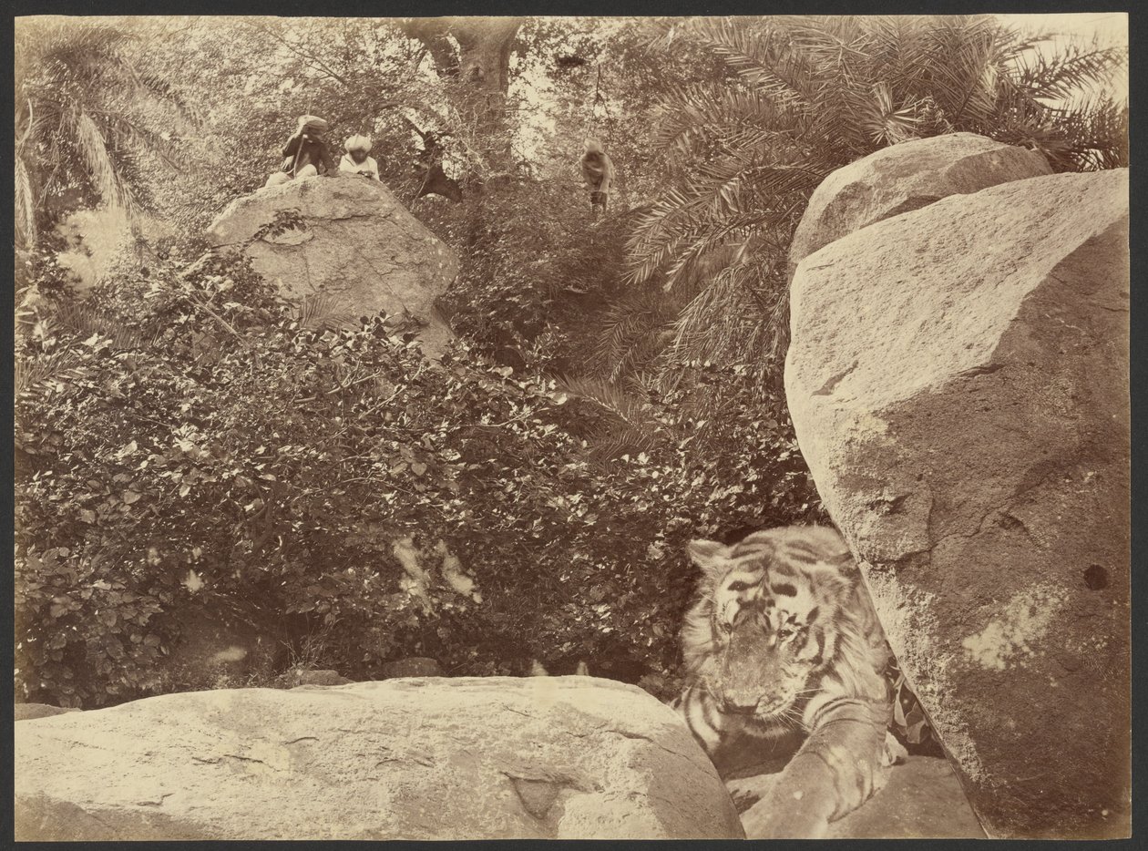  by Willoughby Wallace Hooper