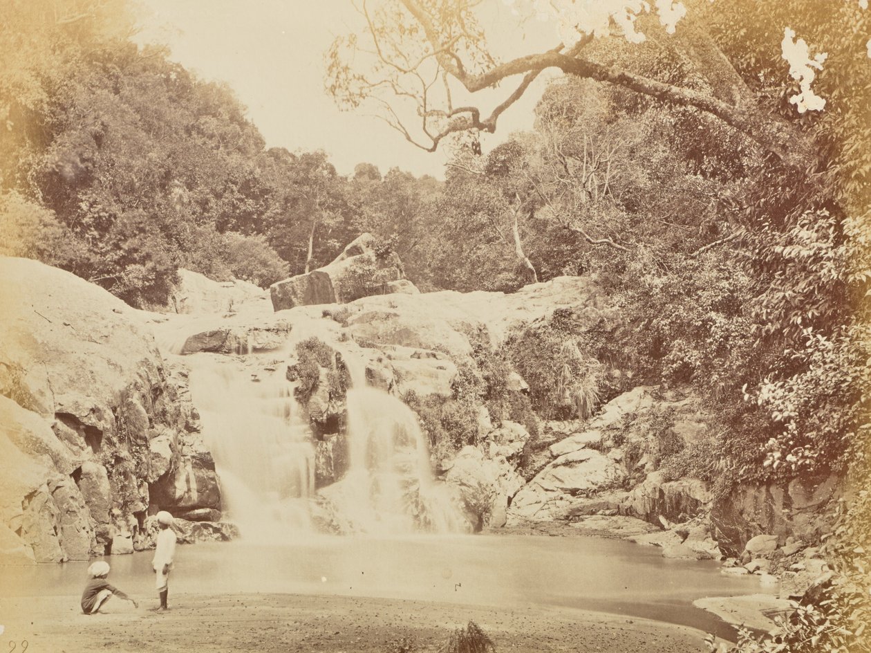  by Willoughby Wallace Hooper