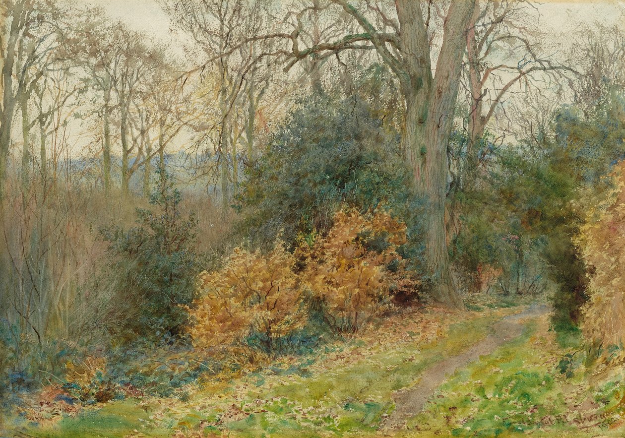 Ormandan Geçen Yol, 1902 by Wilmot Pilsbury