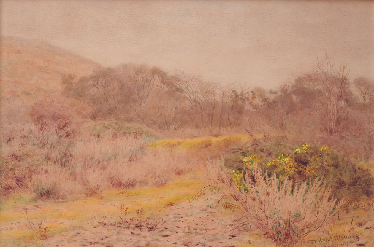 Soğuk gri bir Şubat günü by Wilmot R.W.S. Pilsbury