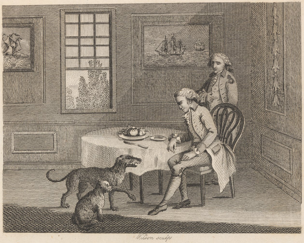 Adam, Kedi, Köpek ve Sinek by Wilson