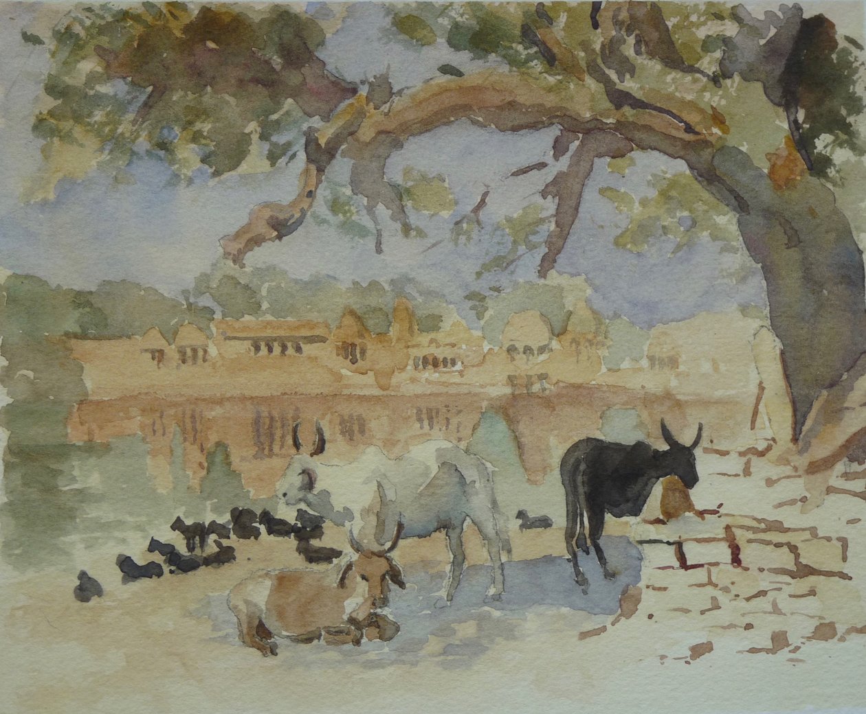 435A Jaisalmer - Tren Sagar (Sketch) by Wilson Clive