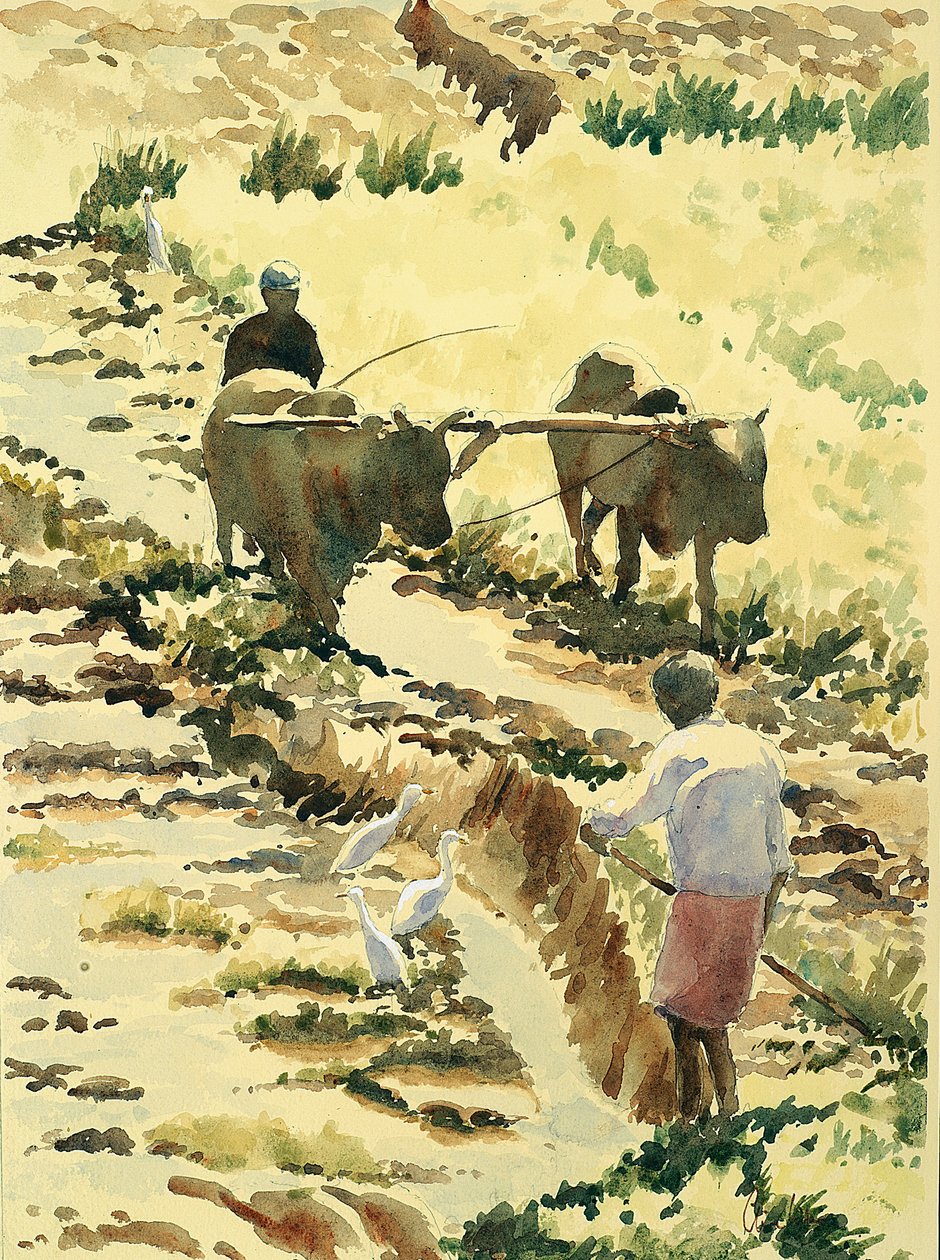 753 Çeltik tarlasının hazırlanması by Wilson Clive