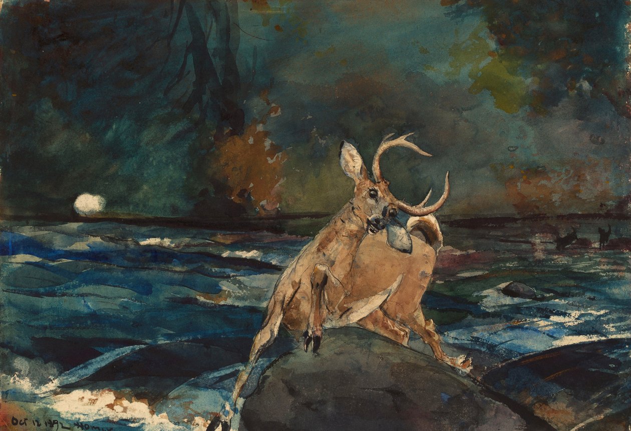 İyi Bir Atış, Adirondacks by Winslow Homer