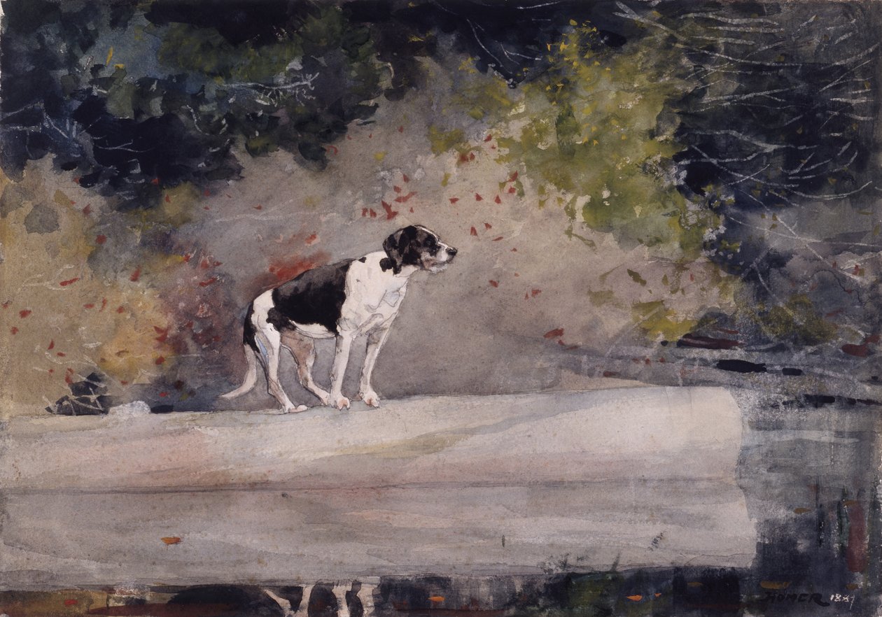 Kütükteki Köpek, 1889 by Winslow Homer