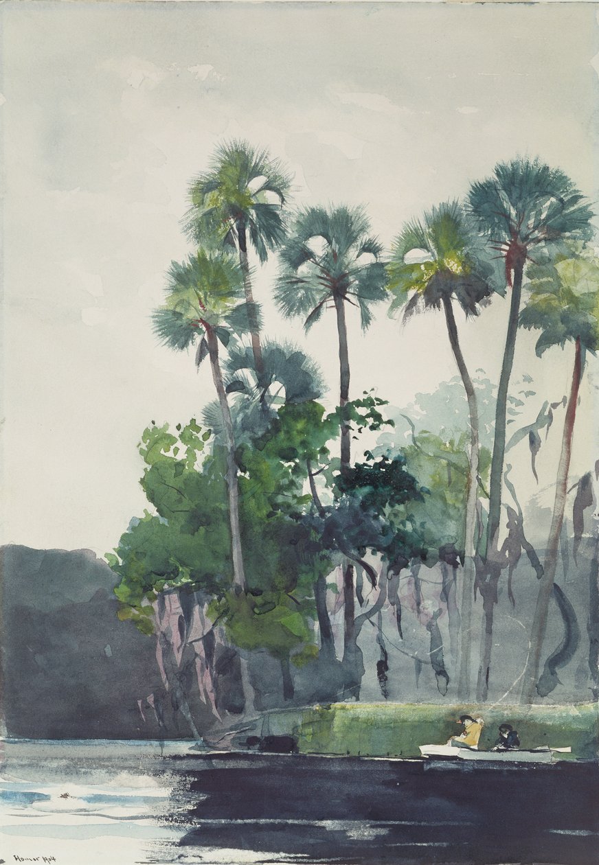 Homosassa Nehri, 1904 by Winslow Homer