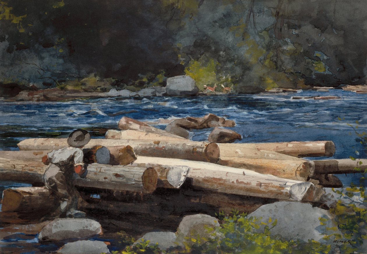 Hudson Nehri by Winslow Homer