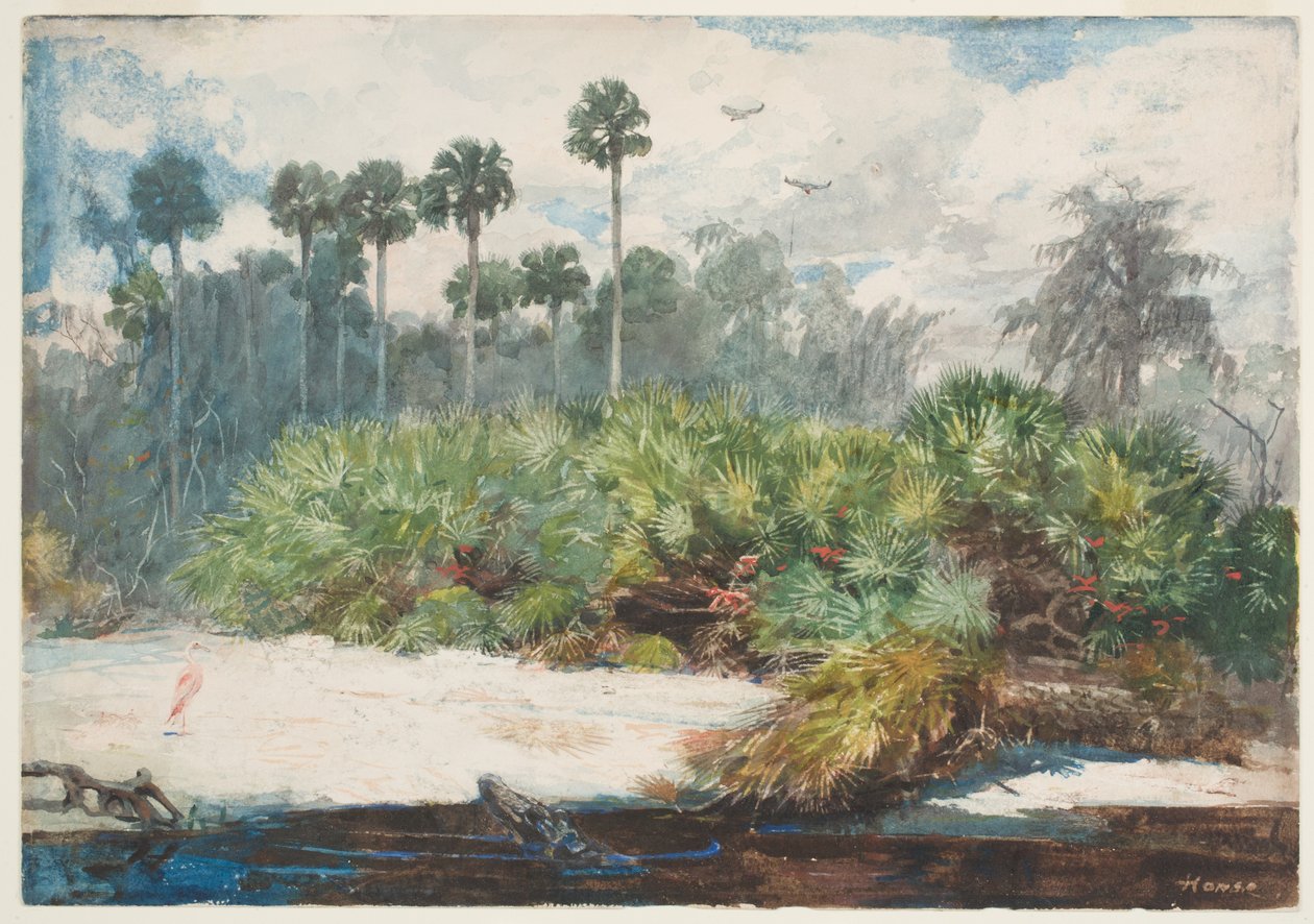 Florida Ormanında (kağıt üzerinde grafit üzerinde wc) by Winslow Homer