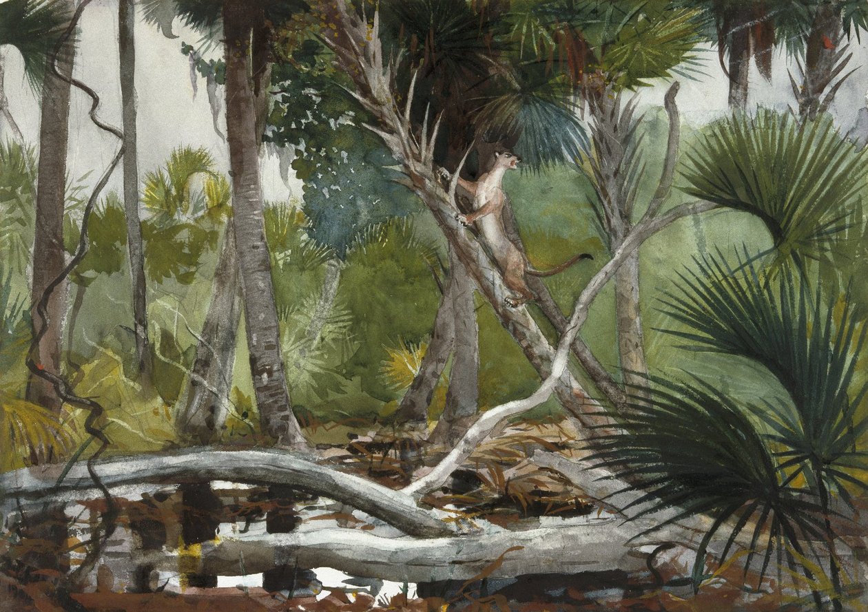 Ormanda, Florida by Winslow Homer