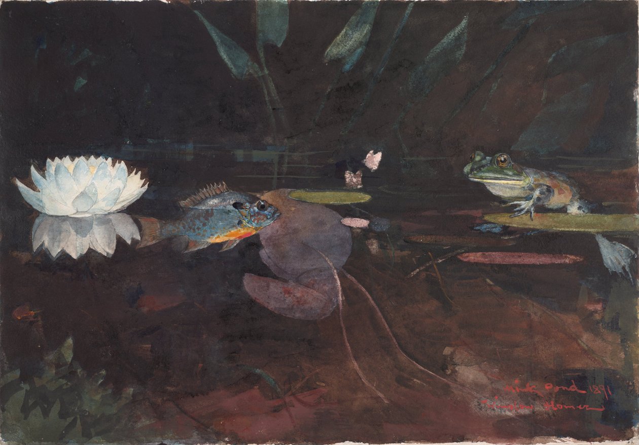 Vizon Göleti by Winslow Homer