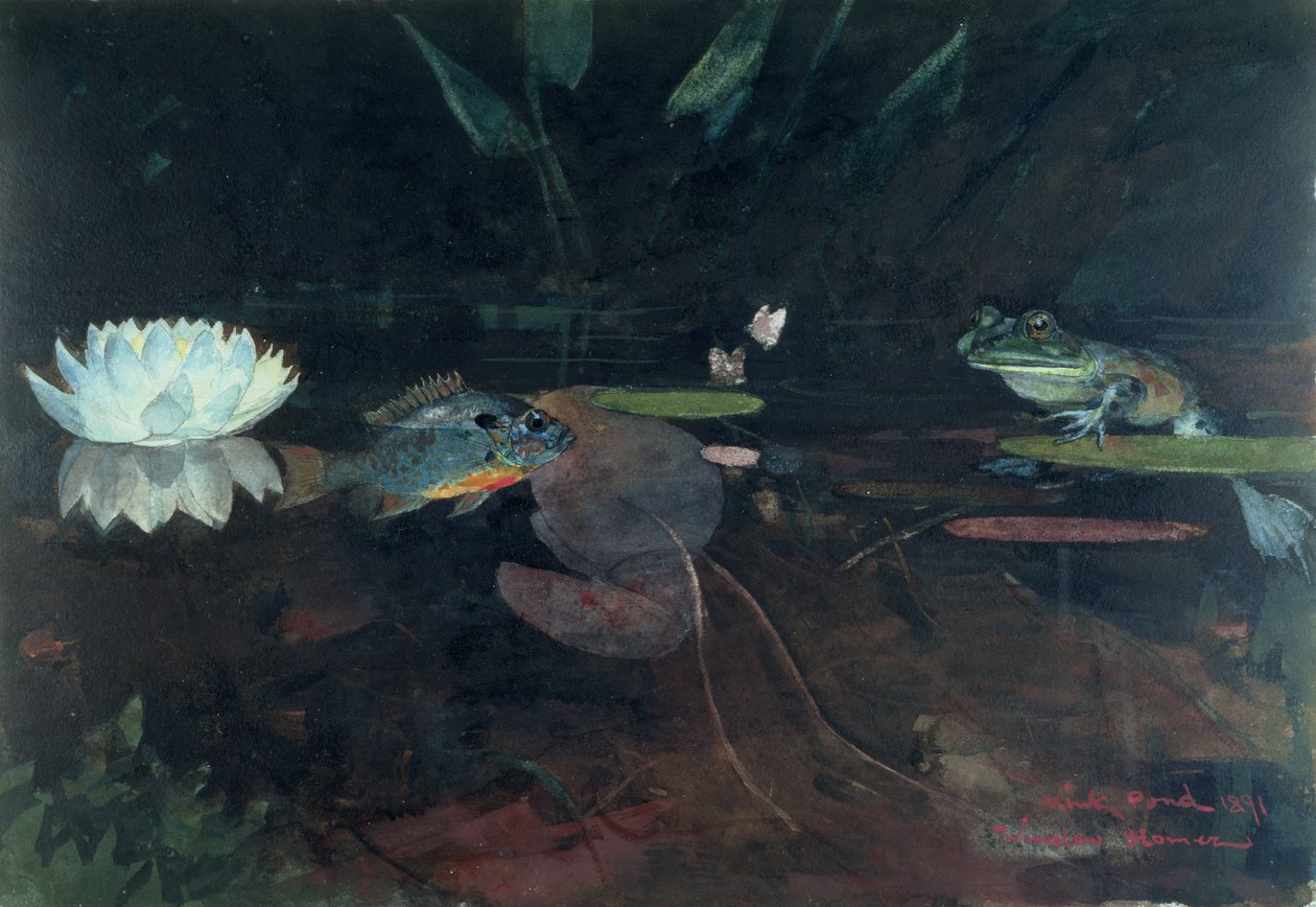 Mink Pond, 1891 (kağıt üzerinde grafit üzeri wc) by Winslow Homer