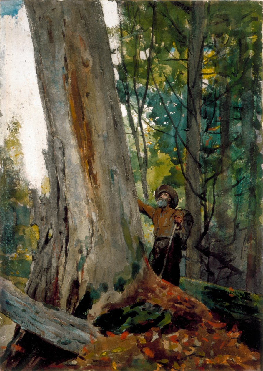 Eski Dostlar, 1894 (kağıt üzerine kurşun kalem üzerinde wc) by Winslow Homer
