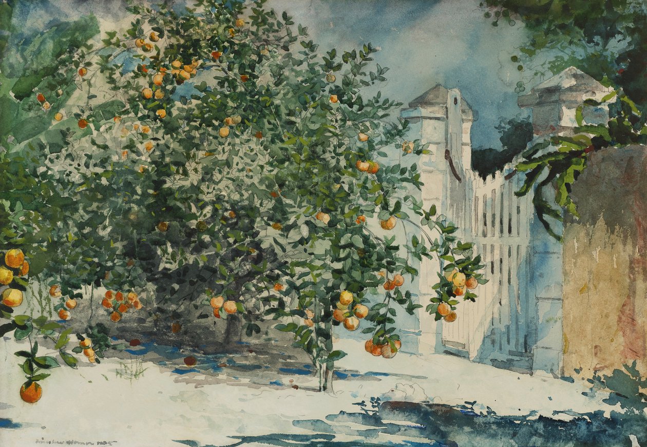 Portakal ağaçları ve kapısı by Winslow Homer