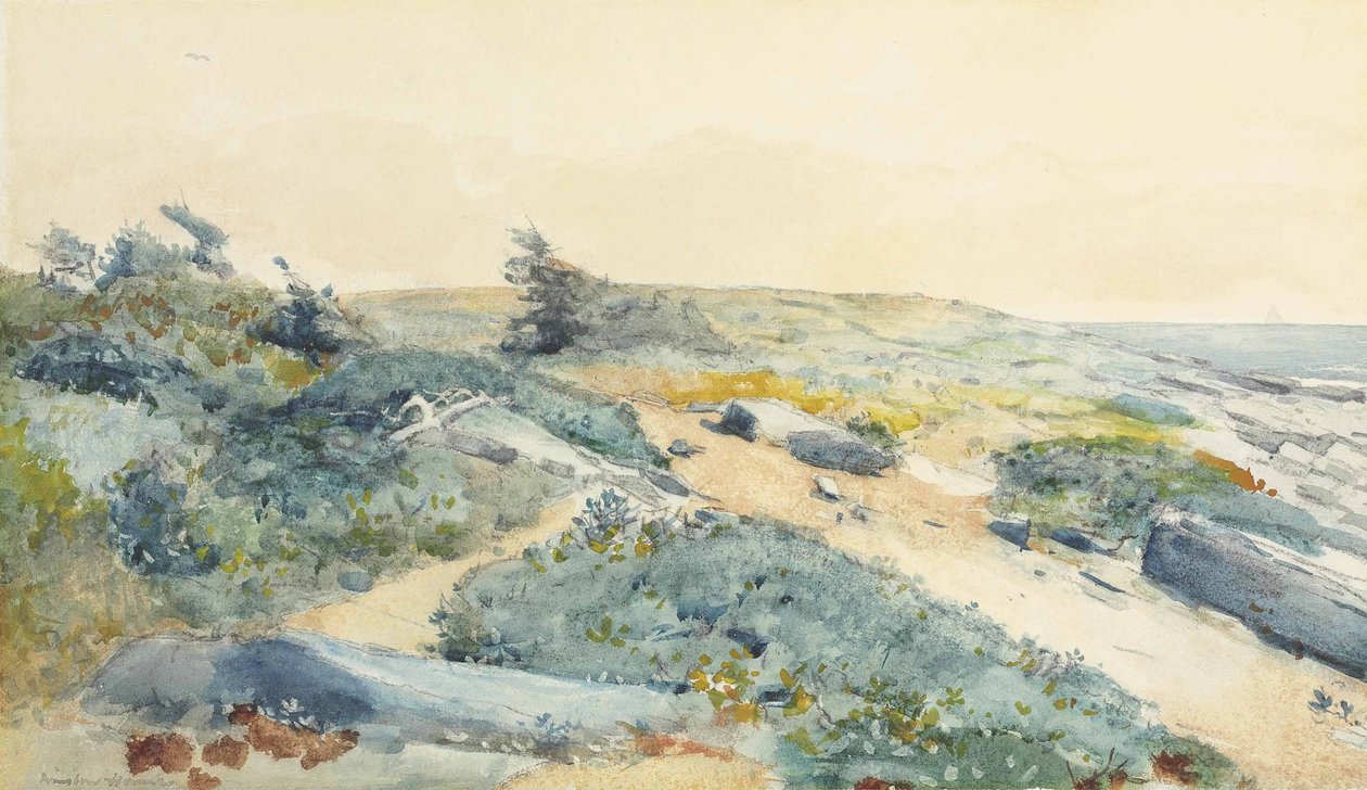 Prouts Boyun by Winslow Homer