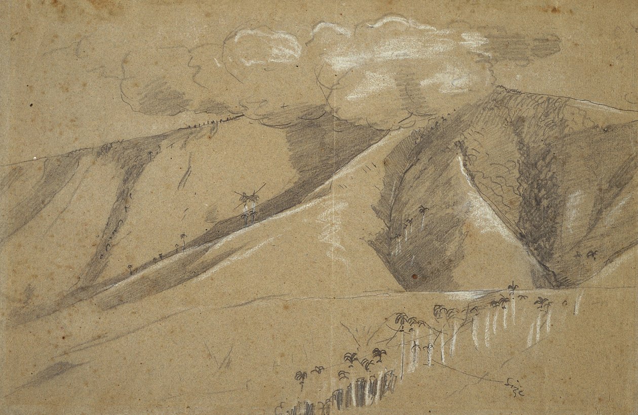 Kraliyet Palms, Santiago de Cuba by Winslow Homer