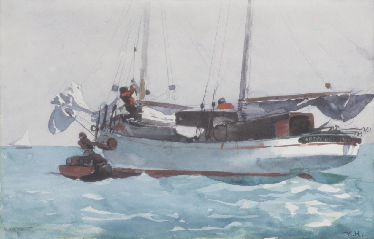 Islak Erzak Almak, 1903 by Winslow Homer
