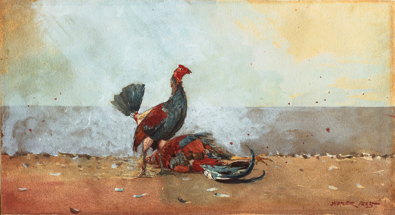 horoz dövüşü by Winslow Homer