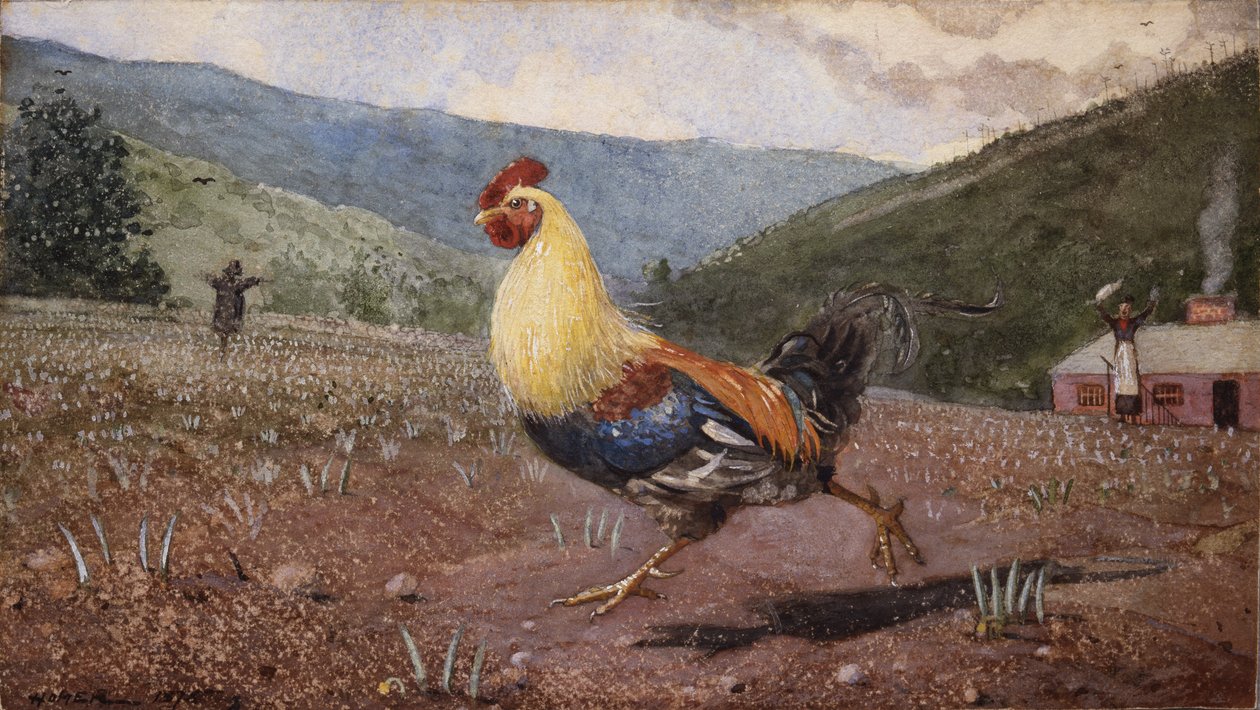 Horoz, 1876 by Winslow Homer