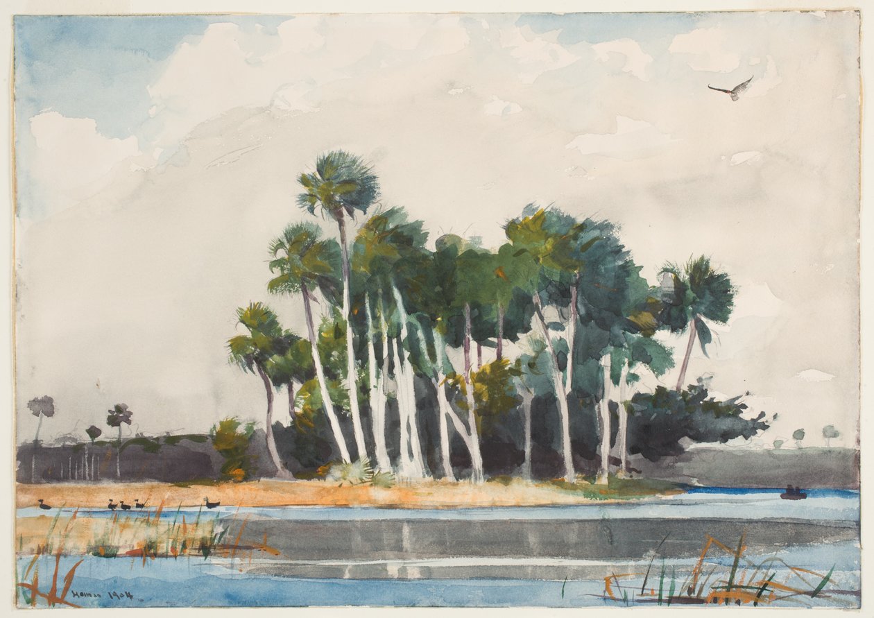 Türkiye Şahini (kağıt üzerinde grafit üzerinde wc) by Winslow Homer