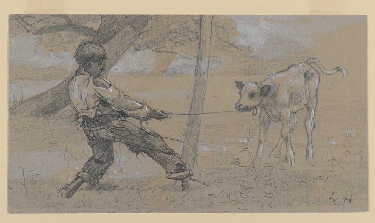 Asi Buzağı (dokuma kağıt üzerinde grafit ve Çin beyazı) by Winslow Homer