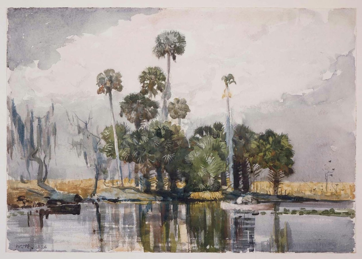 dikenli çubuk by Winslow Homer