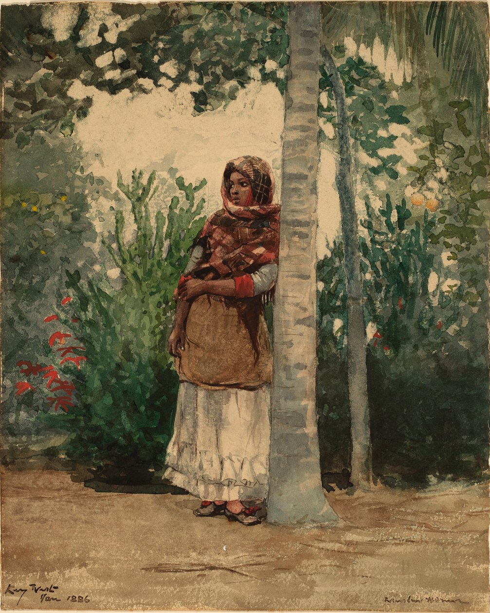 Palmiye Ağacının Altında by Winslow Homer
