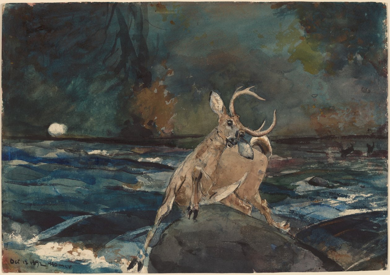 İyi Bir Atış, Adirondacks by Winslow Homer