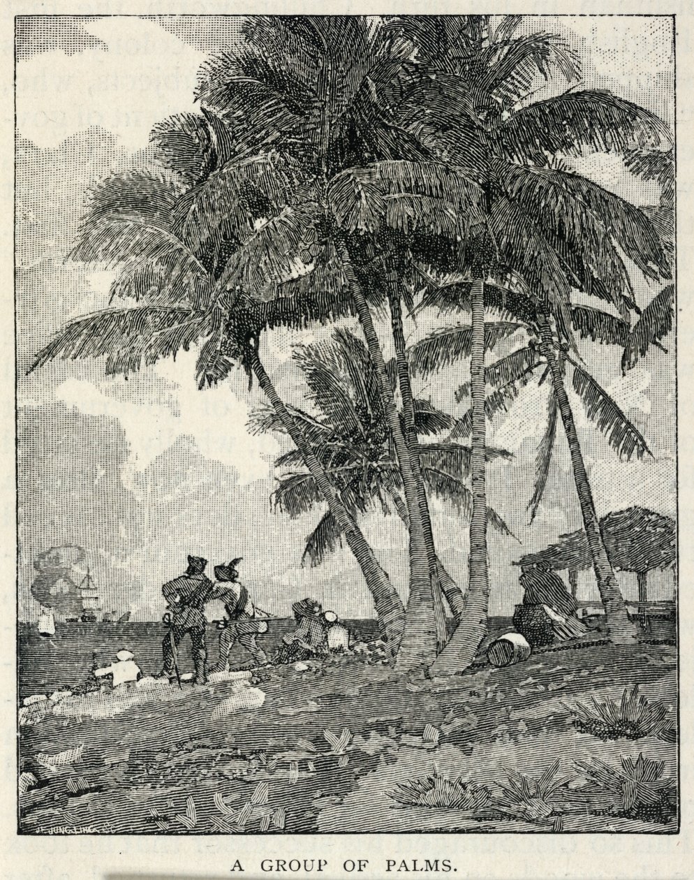  by Winslow Homer