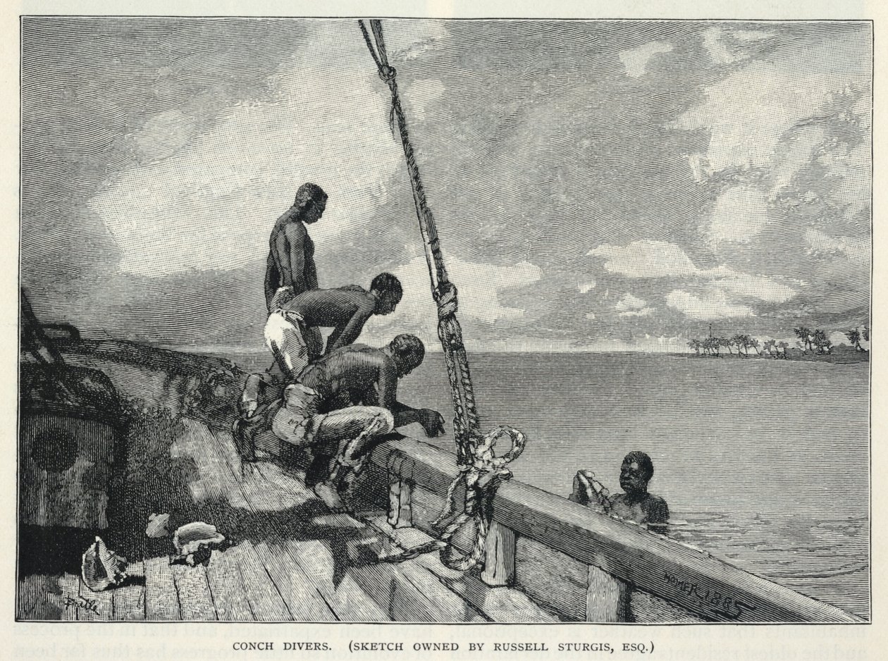  by Winslow Homer