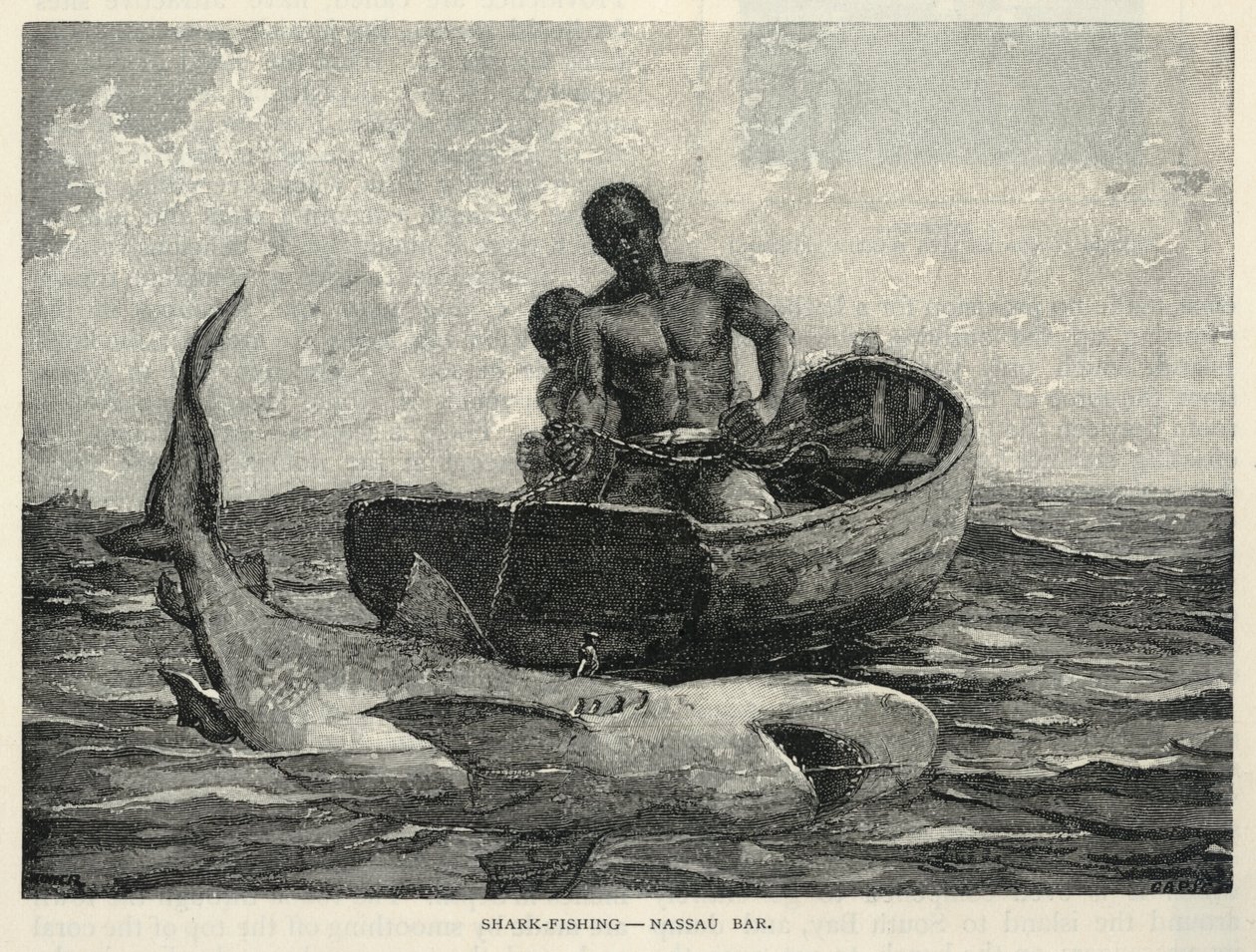  by Winslow Homer