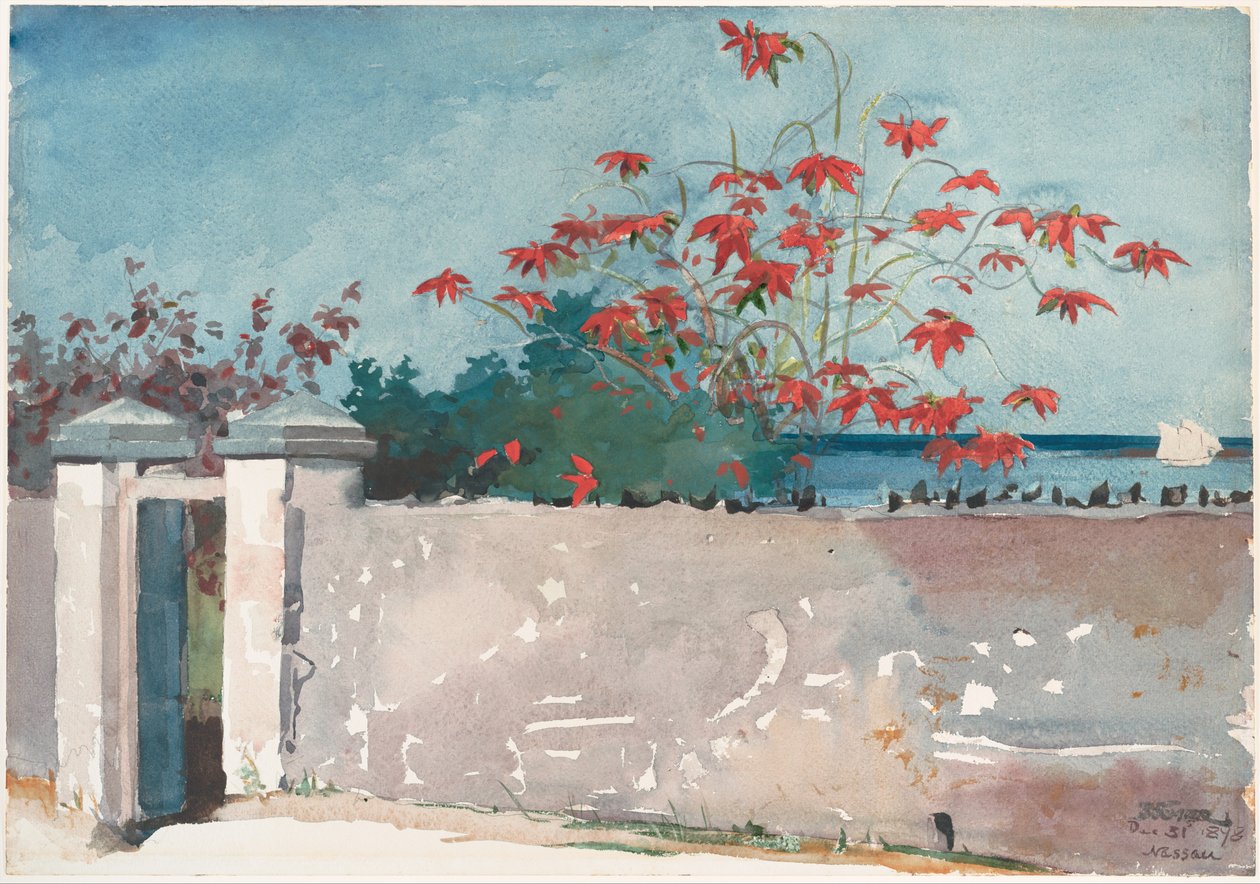 Bir Duvar, Nassau by Winslow Homer