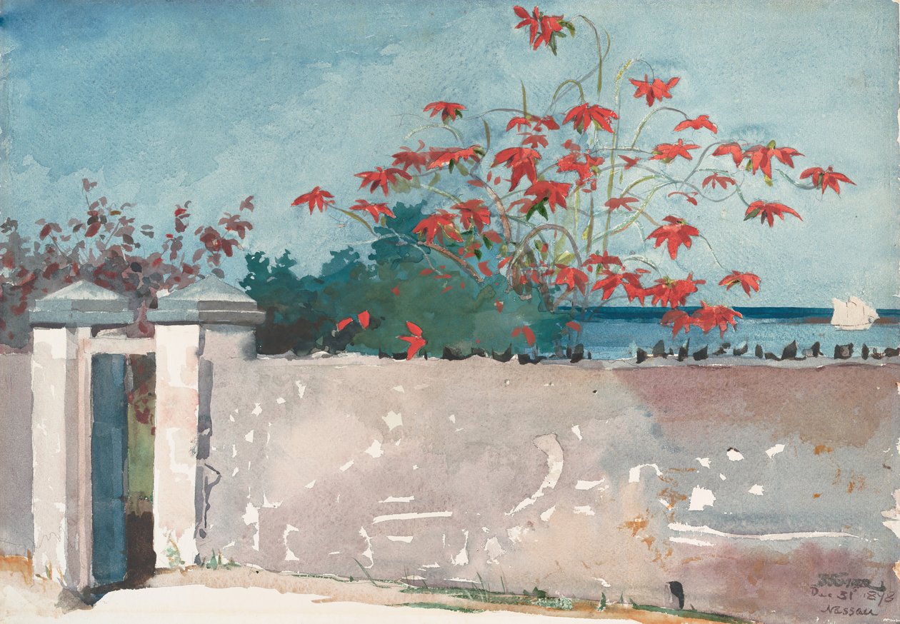 Bir Duvar, Nassau, 1898. by Winslow Homer