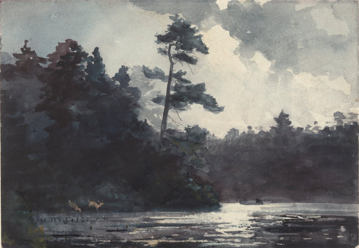 Adirondack Gölü by Winslow Homer