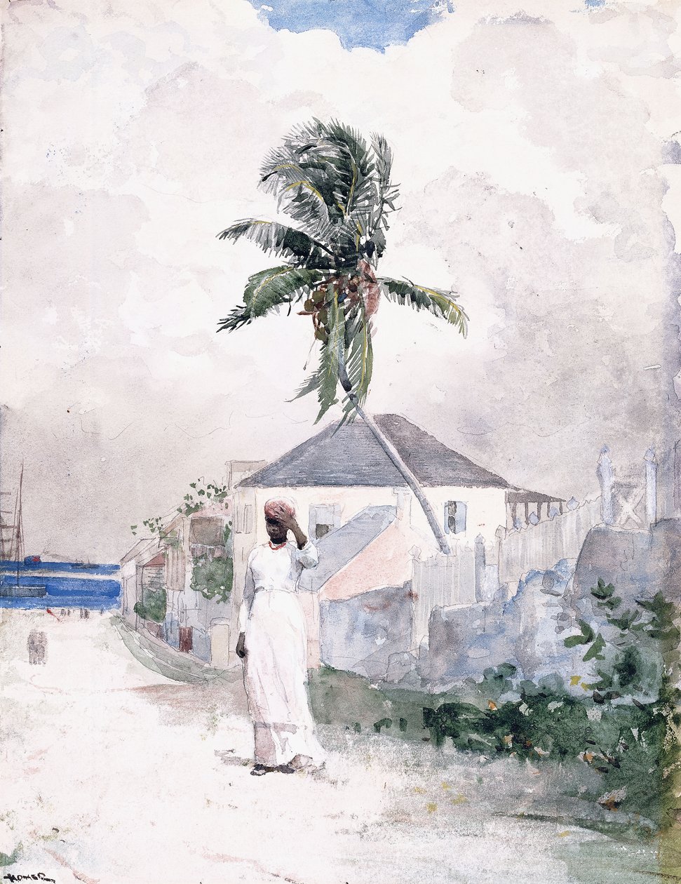 Yol Boyunca, Bahamalar, 1885 by Winslow Homer