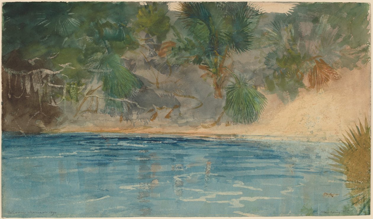 Mavi Bahar, Florida by Winslow Homer