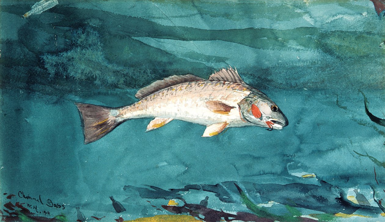 Kanal Bas by Winslow Homer