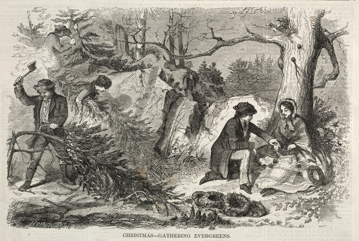 Noel - Yaprak Dökmeyenlerin Toplanması, 1858. by Winslow Homer