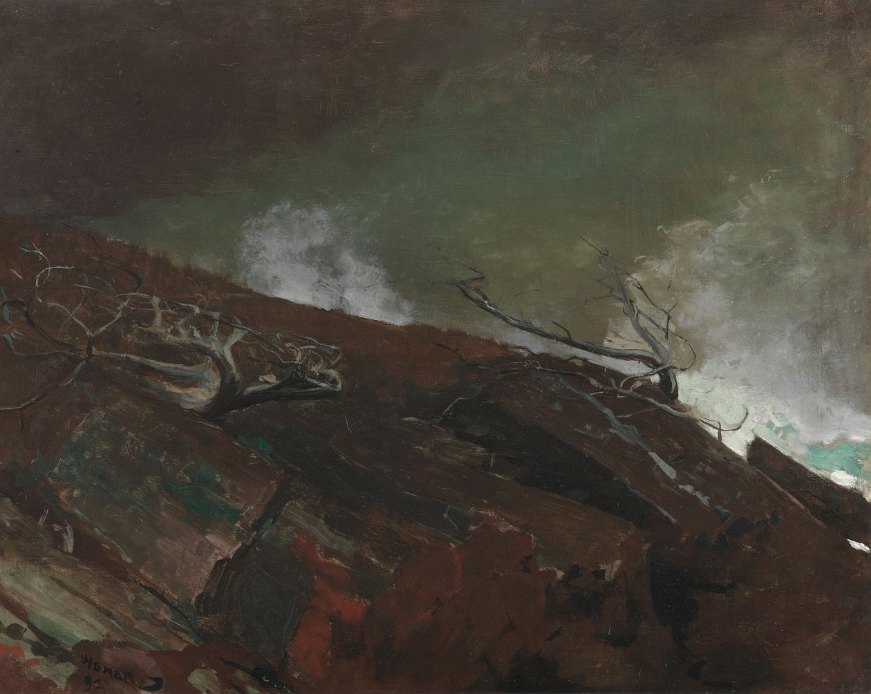  by Winslow Homer
