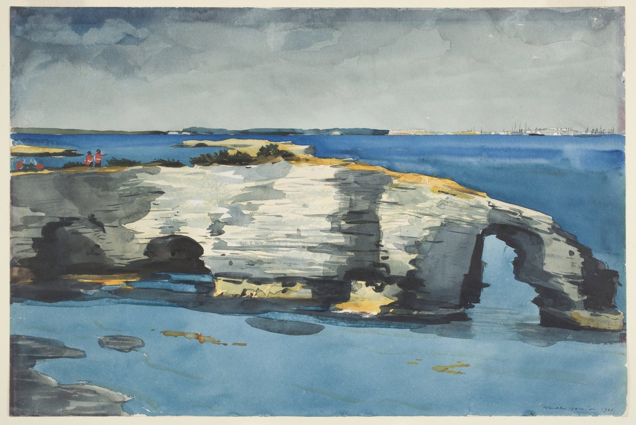 Mercan Oluşumu by Winslow Homer