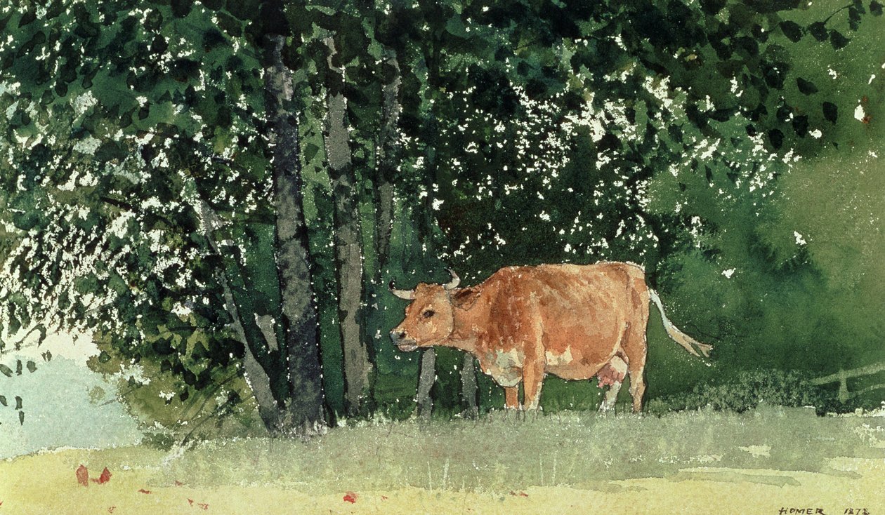 Çayırda İnek, 1878 by Winslow Homer